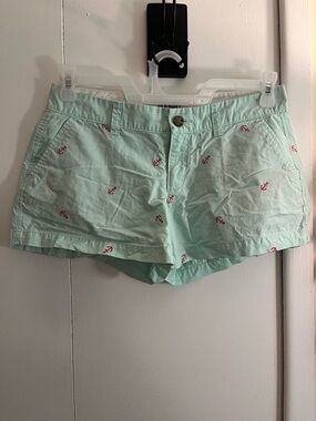 Old Navy Mint Green Anchor-Embroidered Shorts